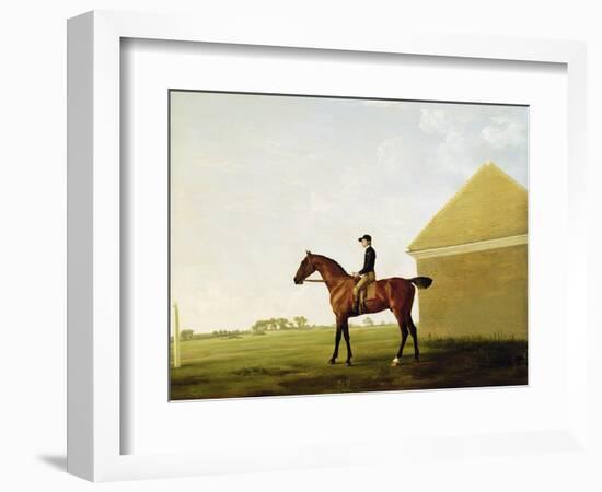 Turf, c.1765-George Stubbs-Framed Giclee Print