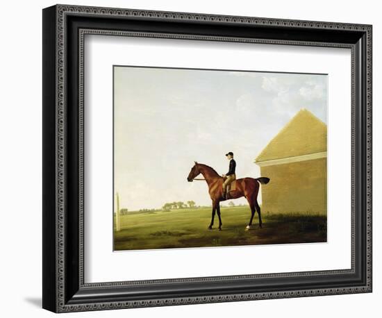 Turf, c.1765-George Stubbs-Framed Giclee Print