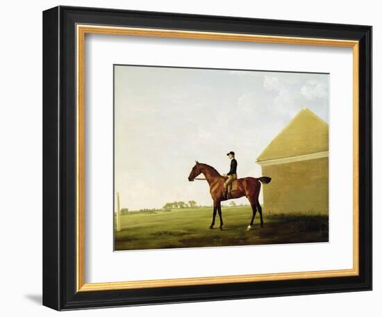 Turf, c.1765-George Stubbs-Framed Giclee Print