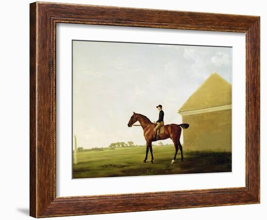 Turf, c.1765-George Stubbs-Framed Giclee Print