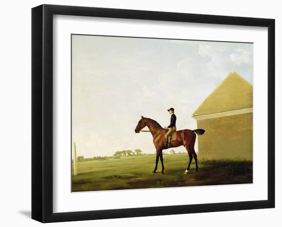 Turf, c.1765-George Stubbs-Framed Giclee Print