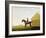 Turf, c.1765-George Stubbs-Framed Giclee Print