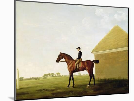 Turf, c.1765-George Stubbs-Mounted Giclee Print