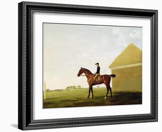 Turf, c.1765-George Stubbs-Framed Giclee Print