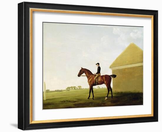 Turf, c.1765-George Stubbs-Framed Giclee Print