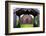 Turf Church Gr?f, Grafakirkja-Catharina Lux-Framed Photographic Print