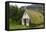 Turf Church in Court-Catharina Lux-Framed Premier Image Canvas