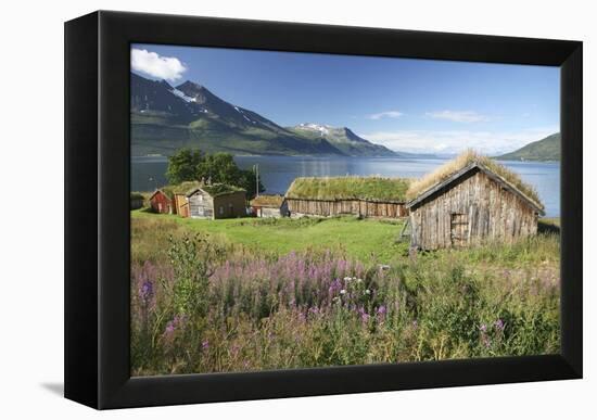 Turf Roofed Wooden Huts, Norway-Bjorn Svensson-Framed Premier Image Canvas