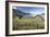 Turf Roofed Wooden Huts, Norway-Bjorn Svensson-Framed Photographic Print