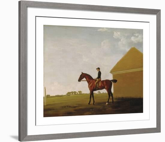 Turf, with Jockey up, at Newmarket, c.1765-George Stubbs-Framed Premium Giclee Print