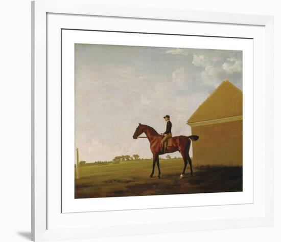 Turf, with Jockey up, at Newmarket, c.1765-George Stubbs-Framed Premium Giclee Print