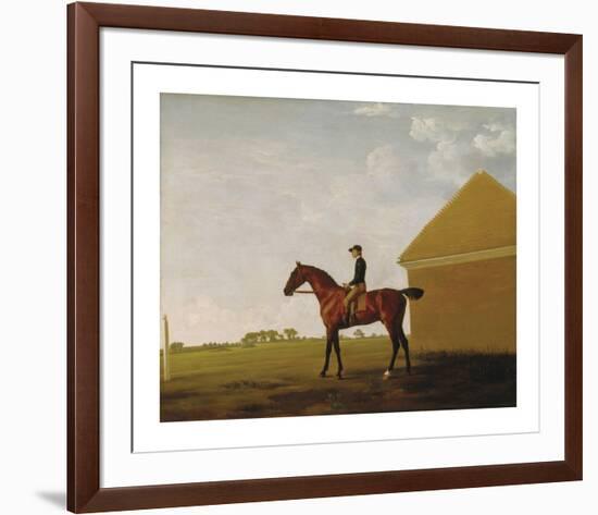 Turf, with Jockey up, at Newmarket, c.1765-George Stubbs-Framed Premium Giclee Print