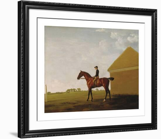 Turf, with Jockey up, at Newmarket, c.1765-George Stubbs-Framed Premium Giclee Print