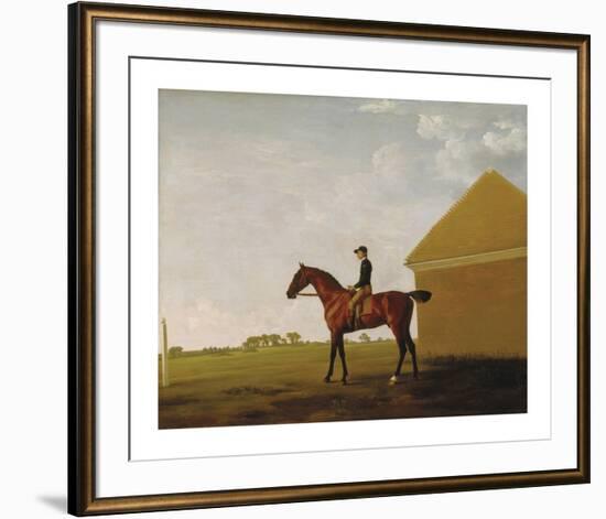 Turf, with Jockey up, at Newmarket, c.1765-George Stubbs-Framed Premium Giclee Print