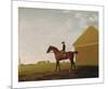 Turf, with Jockey up, at Newmarket, c.1765-George Stubbs-Mounted Premium Giclee Print