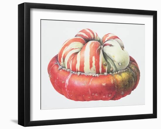 Turk's Turban Squash, 1995-Margaret Ann Eden-Framed Giclee Print