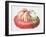 Turk's Turban Squash, 1995-Margaret Ann Eden-Framed Giclee Print