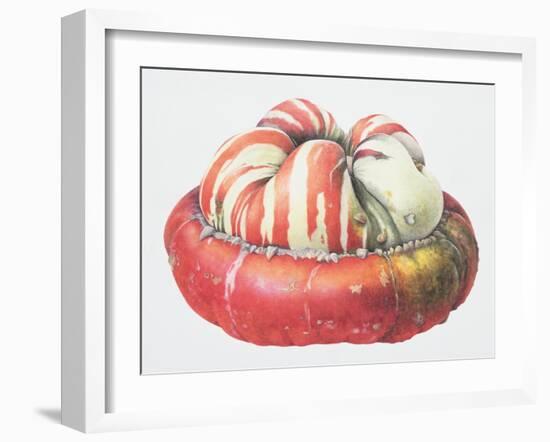 Turk's Turban Squash, 1995-Margaret Ann Eden-Framed Giclee Print