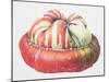 Turk's Turban Squash, 1995-Margaret Ann Eden-Mounted Giclee Print