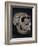 Turkana Boy Skull-Javier Trueba-Framed Photographic Print