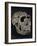 Turkana Boy Skull-Javier Trueba-Framed Photographic Print