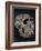 Turkana Boy Skull-Javier Trueba-Framed Photographic Print