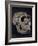 Turkana Boy Skull-Javier Trueba-Framed Photographic Print