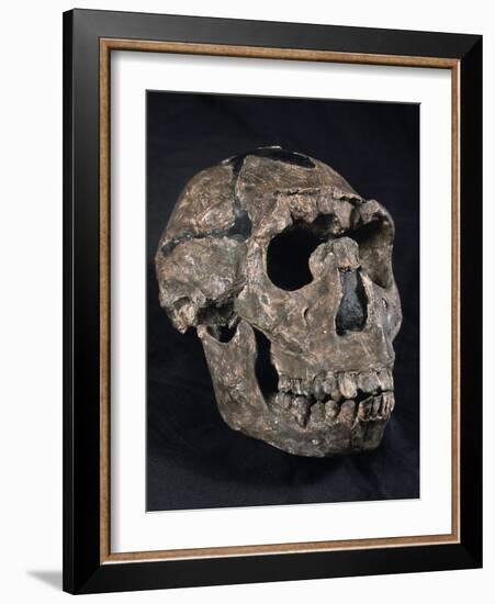 Turkana Boy Skull-Javier Trueba-Framed Photographic Print