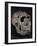 Turkana Boy Skull-Javier Trueba-Framed Photographic Print