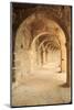 Turkey, Anatolia, Aspendos, Roman theatre Archways.-Emily Wilson-Mounted Photographic Print