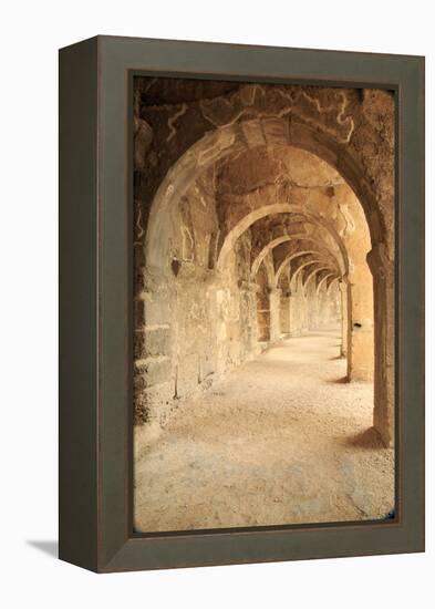 Turkey, Anatolia, Aspendos, Roman theatre Archways.-Emily Wilson-Framed Premier Image Canvas