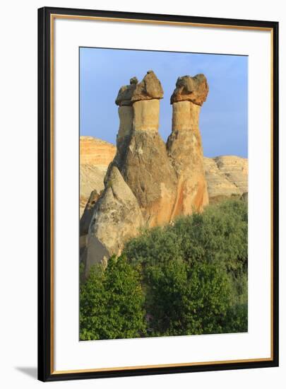 Turkey, Anatolia, Cappadocia, Goreme. 'Fairy Chimneys' in Red Valley.-Emily Wilson-Framed Premium Photographic Print