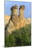 Turkey, Anatolia, Cappadocia, Goreme. 'Fairy Chimneys' in Red Valley.-Emily Wilson-Mounted Premium Photographic Print