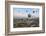 Turkey, Anatolia, Cappadocia, Goreme. Hot air balloons above Red Valley.-Emily Wilson-Framed Photographic Print