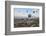 Turkey, Anatolia, Cappadocia, Goreme. Hot air balloons above Red Valley.-Emily Wilson-Framed Photographic Print