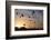 Turkey, Anatolia, Cappadocia, Goreme. Hot air balloons flying above the valley.-Emily Wilson-Framed Photographic Print