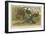 Turkey and Curassows-null-Framed Giclee Print