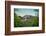 Turkey, Black Sea Region Sumela Monastery Near Trabzon-Bluehouseproject-Framed Photographic Print