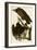 Turkey Buzzard-John James Audubon-Framed Giclee Print