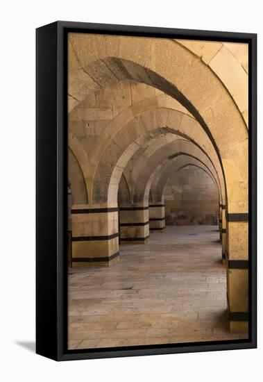 Turkey, Cappadocia. Caravanserais Interior Architecture-Emily Wilson-Framed Premier Image Canvas