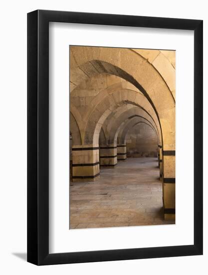 Turkey, Cappadocia. Caravanserais Interior Architecture-Emily Wilson-Framed Photographic Print