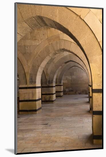 Turkey, Cappadocia. Caravanserais Interior Architecture-Emily Wilson-Mounted Photographic Print