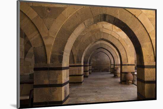 Turkey, Cappadocia. Caravanserais Interior Architecture-Emily Wilson-Mounted Photographic Print