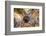 Turkey, Central Anatolia, Cappadocia, Goreme, Open Air Museum, UNESCO World Heritage Site-Christian Kober-Framed Photographic Print