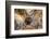 Turkey, Central Anatolia, Cappadocia, Goreme, Open Air Museum, UNESCO World Heritage Site-Christian Kober-Framed Photographic Print