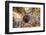 Turkey, Central Anatolia, Cappadocia, Goreme, Open Air Museum, UNESCO World Heritage Site-Christian Kober-Framed Photographic Print