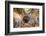 Turkey, Central Anatolia, Cappadocia, Goreme, Open Air Museum, UNESCO World Heritage Site-Christian Kober-Framed Photographic Print