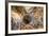 Turkey, Central Anatolia, Cappadocia, Goreme, Open Air Museum, UNESCO World Heritage Site-Christian Kober-Framed Photographic Print