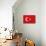Turkey Country Flag - Letterpress-Lantern Press-Mounted Art Print displayed on a wall