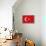 Turkey Country Flag - Letterpress-Lantern Press-Framed Stretched Canvas displayed on a wall